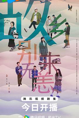 seo优化技巧价格